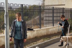Кружок юных кинологов АМИГО, с рейтингом 3.7 - находится по адресу Волгоград, Краснознаменская улица, 11 