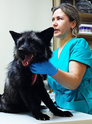 Ветеринарный врач-терапевт Наталья Григорьевна Алькинская