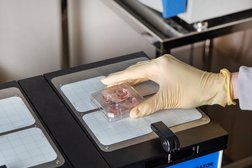 Центр репродукции и ЭКО на улице Гоголя, с рейтингом 3.3 - находится по адресу Республика Дагестан, Махачкала, улица Гоголя, 26 