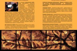 Музей Янтаря, с рейтингом 4 - находится по адресу Калининградская область, пос. Куликово (Ковровское сп), Пионерская улица, 14 