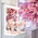фотография Glambar_msk