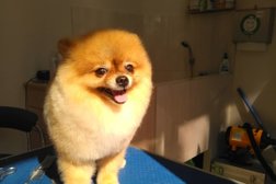 Груминг-салон, с рейтингом 4 - находится по адресу Сочи, Виноградная улица, 105 