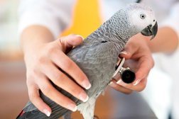 Ветеринарный центр Шерхан, с рейтингом 5 - находится по адресу Республика Татарстан (Татарстан), Казань, 2-я Старо-Аракчинская улица, 41 
