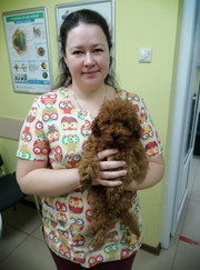 Ветеринарный врач УЗИ, ветеринар Елена Юрьевна Никулина