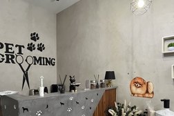 Груминг-студия Paws, с рейтингом 4.7 - находится по адресу Краснодар, Западный обход, 39/2 