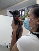 Концеропятова Екатерина Игоревна