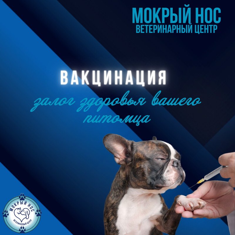 фотография Ветеринарного центра Мокрый нос на Краснобогатырской улице, д13 стр 3