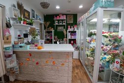 Цветочный магазин TUL'PAN, с рейтингом 5 - находится по адресу Нижний Новгород, Ошарская, 78 