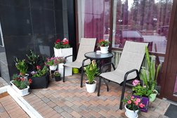 Салон красоты Mademoiselle, с рейтингом 4.1 - находится по адресу Сочи, Виноградная улица, 4 