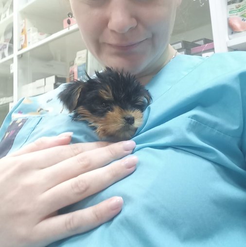 Ксения Александровна Климанова
