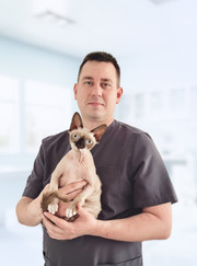 Ветеринарный врач УЗИ, ветеринар Александр Клонов