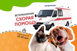 Ветеринарная служба ВетСкорая24, с рейтингом 4.9 - находится по адресу Московская область, Лобня, Промышленная улица, 1А 