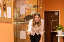 Отель для животных Лучший друг, с рейтингом 3.1 - находится по адресу Московская область, Химки, улица Энгельса, 27 