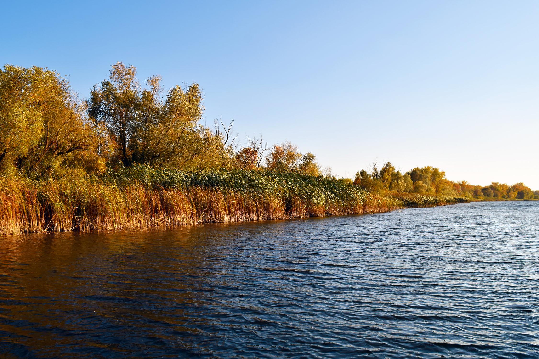 Вода иволга. Турбаза Иволга Саратов. Протока фото.