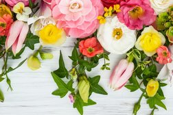 Гипермаркет товаров для ремонта и дома Дом, с рейтингом 1.2 - находится по адресу Екатеринбург, Победы, 63 