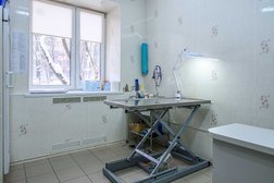 Зооцентр Манол, с рейтингом 4.9 - находится по адресу Москва, Ленинский проспект, 82/2 