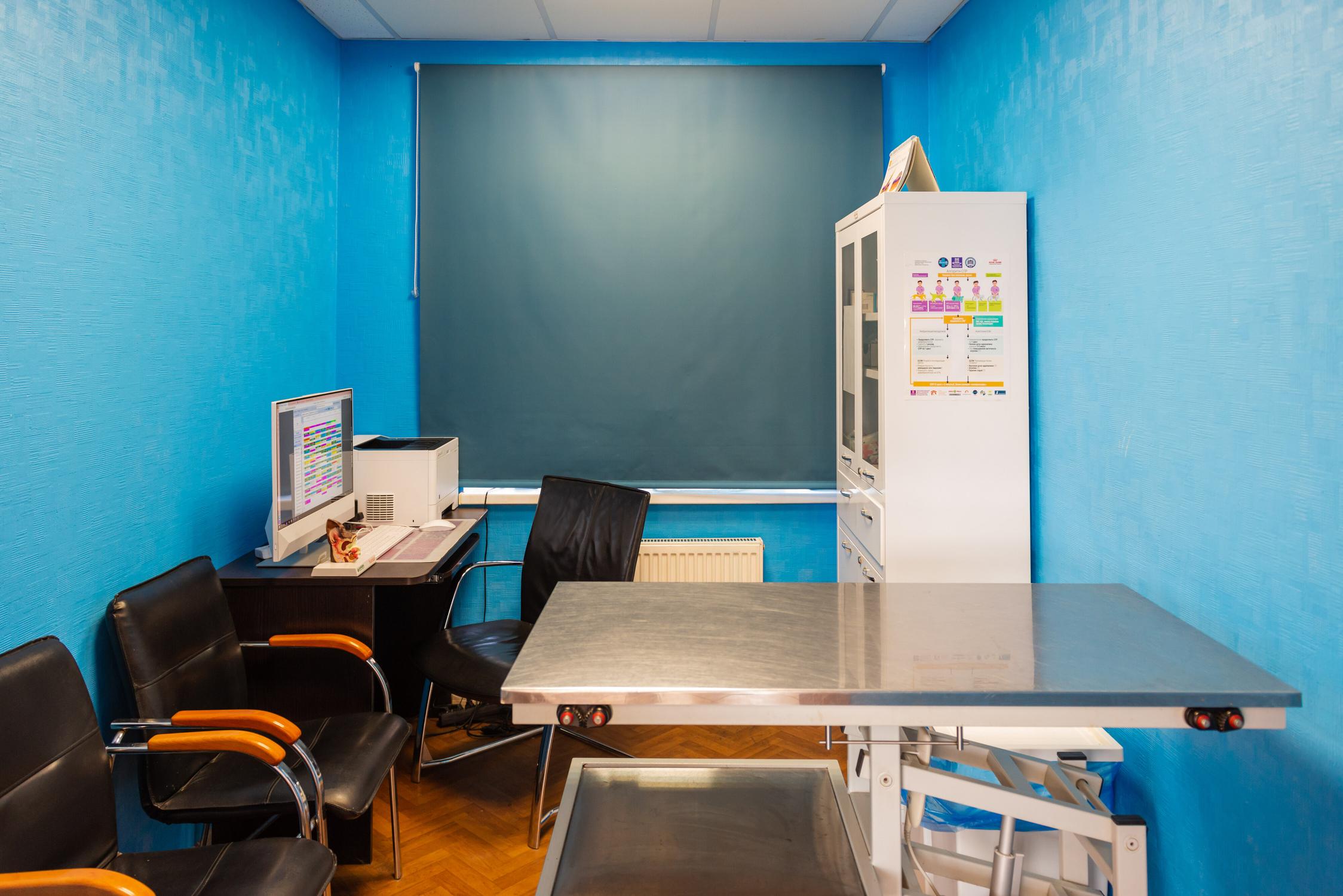 16. питомец ветеринарная клиника ул. свердлова 16 щелково ветклиника. городская ветклиника щелково. щелково, ул.