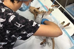 Ветеринарная клиника Артемида, с рейтингом 2 - находится по адресу Владимир, Верхняя Дуброва, 4а 