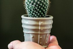 Медицинский центр Здоровье семьи, с рейтингом 3.1 - находится по адресу Калужская область, Обнинск, проспект Маркса, 87 