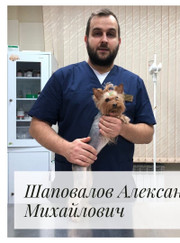 Ветеринар Александр Михайлович Шаповалов
