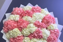 Магазин Флорика, с рейтингом 5 - находится по адресу Москва, проспект Мира, 76 