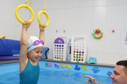 Студия плавания Акулята, с рейтингом 4.8 - находится по адресу Московская область, Красногорск, Красногорский бульвар, 3а 