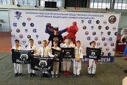 Клуб рукопашного боя Белый волк, с рейтингом 4.4 - находится по адресу Калининград, улица Аксакова, 95а 