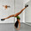 фотография Studio Panda Pole Dance