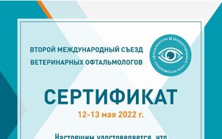 сертификат/документ ветеринара Вероники Азатовны Латыповой