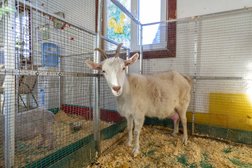 ZOO-mini