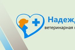 Ветеринарная клиника Надежда, с рейтингом 4.8 - находится по адресу Архангельск, Тимме, 28 к2 