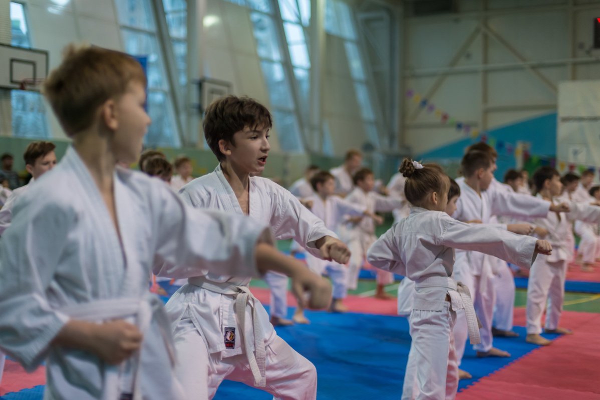 клуб восточных единоборств. детские секции в юбилейном. спортивные секции чебоксары. спортивные секции город бор. секция самбо.