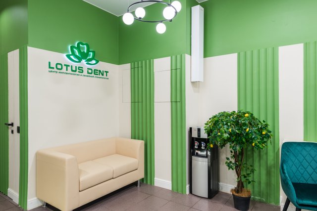 LOTUS DENT   38  1 