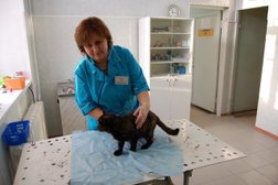 Ветеринарная клиника Айболит, с рейтингом 2.3 - находится по адресу Республика Башкортостан, Уфа, Вологодская, 79 