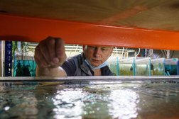 Зооцентр Нарния, с рейтингом 3.9 - находится по адресу Москва, Авиационная улица, 63 