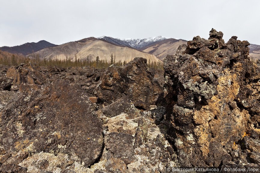 Вздыбленная застывшая лава