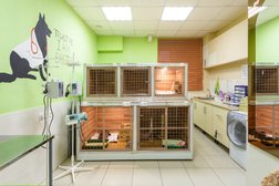 Ветеринарная клиника Панда, с рейтингом 3.9 - находится по адресу Республика Татарстан, Казань, Широкая улица, 2 