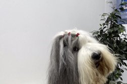 Зоогостиница, зоомагазин и студия груминга Зоокосмос, с рейтингом 2.6 - находится по адресу Москва, улица Вавилова, 53 к2 