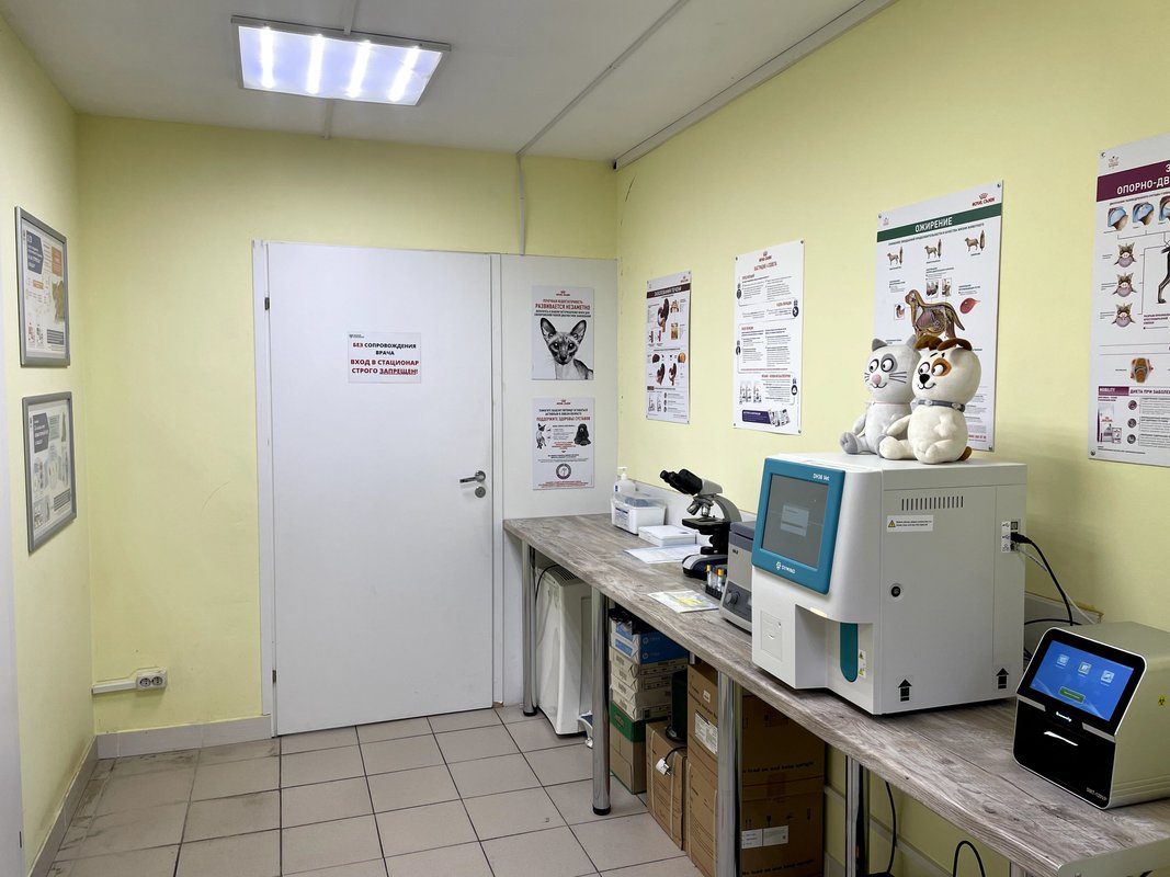 87 корп 3. Ветклиника на будапештской. Ветклиника на братиславской 32. Ветеринарная на будапештской. Ветеринарная на будапештской.