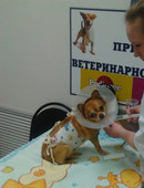 Носикова Инна Сергеевна