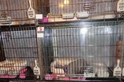 Гостиница для кошек Кошачий ковчег, с рейтингом 3 - находится по адресу Московская область, Долгопрудный, Загорская улица, 41 