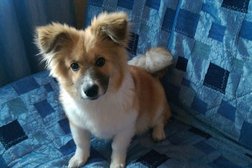 Ветеринарная клиника Леопольд, с рейтингом 2.3 - находится по адресу Курск, улица Карла Маркса, 66а 