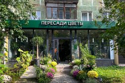 Магазин комнатных растений Пересади Цветы, с рейтингом 4.5 - находится по адресу Калининград, Пролетарская улица, 62 