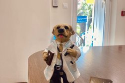 Стоматология Дизайн Дент, с рейтингом 3.2 - находится по адресу Челябинск, улица Кирова, 13а 