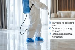 Компания ДезинфекцияСпец, с рейтингом 5 - находится по адресу Москва, Сиреневый бульвар, 54 