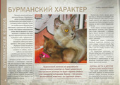 сертификат/документ Питомника кошек породы европейская бурма Jasper Burmese