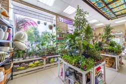 Магазин цветов I Love цветы, с рейтингом 5 - находится по адресу Московская область, Электросталь, улица Мира, 9 