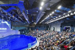 Океанариум на улице Щербакова, с рейтингом 4.5 - находится по адресу Екатеринбург, улица Щербакова, 2Б 