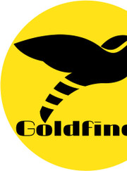 Генеральный директор GOLDFINCH GOLDFINCH