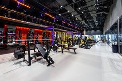 Фитнес клуб DDX Fitness Митино, с рейтингом 4.9 - находится по адресу Москва, Дубравная улица, 51с1 